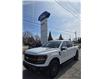2024 Ford F-150 Tremor (Stk: 25071A) in Madoc - Image 1 of 33