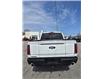 2024 Ford F-150 Tremor (Stk: 25071A) in Madoc - Image 8 of 33