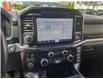 2022 Ford F-150 XLT (Stk: 25P052) in Kamloops - Image 19 of 26