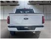 2025 Ford F-150 XLT (Stk: 0T5212) in Kamloops - Image 5 of 26