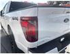 2025 Ford F-150 XLT (Stk: 0T5212) in Kamloops - Image 11 of 26