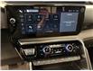 2025 GMC Sierra 3500HD Denali (Stk: 263829) in Lethbridge - Image 19 of 30