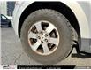 2008 Ford Escape Limited (Stk: A2501418) in North York - Image 10 of 29