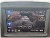 2025 Chevrolet Silverado 1500 Custom Trail Boss (Stk: N250464) in Stony Plain - Image 33 of 46