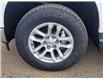 2025 Chevrolet Silverado 1500 LT (Stk: N250497) in Stony Plain - Image 5 of 49