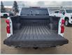 2025 Chevrolet Silverado 1500 LT (Stk: N250497) in Stony Plain - Image 18 of 49