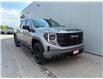 2023 GMC Sierra 1500 Elevation (Stk: 25-613A) in Listowel - Image 1 of 43
