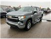2025 Chevrolet Silverado 1500 LT (Stk: 25127) in Moosomin - Image 12 of 12