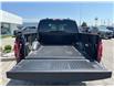 2025 Ford F-150 XLT (Stk: LFFF00568) in Tilbury - Image 5 of 15