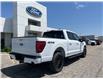 2025 Ford F-150 Lariat (Stk: LFFF00536) in Tilbury - Image 3 of 15