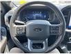 2025 Ford F-150 Lariat (Stk: LFFF00536) in Tilbury - Image 11 of 15