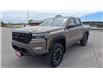 2023 Nissan Frontier PRO-4X (Stk: CPN626461L) in Cobourg - Image 1 of 17