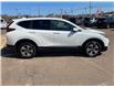 2020 Honda CR-V LX in Charlottetown - Image 6 of 18
