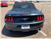 2015 Ford Mustang EcoBoost Premium in Charlottetown - Image 8 of 18