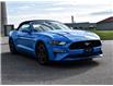 2022 Ford Mustang GT Premium (Stk: LK00357S) in Chatham - Image 6 of 28