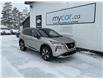 2022 Nissan Rogue Platinum (Stk: 250187) in Ottawa - Image 1 of 22