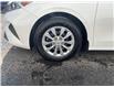 2024 Kia Forte LX (Stk: 250352) in Ottawa - Image 21 of 21