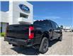 2025 Ford F-350 Platinum (Stk: SPFF00441) in Tilbury - Image 3 of 15