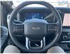 2025 Ford F-350 Platinum (Stk: SPFF00441) in Tilbury - Image 11 of 15