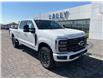 2025 Ford F-250 Platinum (Stk: LFFF00857) in Tilbury - Image 1 of 15