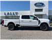 2025 Ford F-250 Platinum (Stk: LFFF00857) in Tilbury - Image 2 of 15