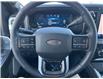 2025 Ford F-250 Platinum (Stk: LFFF00857) in Tilbury - Image 11 of 15