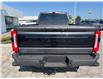 2025 Ford F-350 Platinum (Stk: LFFF00556) in Tilbury - Image 4 of 16