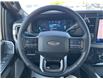 2025 Ford F-350 Platinum (Stk: LFFF00556) in Tilbury - Image 11 of 16