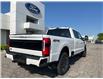 2025 Ford F-250 Platinum (Stk: LFFF00487) in Tilbury - Image 3 of 15