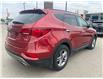 2017 Hyundai Santa Fe Sport 2.4 Premium (Stk: F0653) in Saskatoon - Image 8 of 27