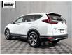 2020 Honda CR-V LX (Stk: 25H356A) in Chilliwack - Image 4 of 36