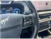 2025 Ford Bronco Sport Big Bend (Stk: 27097) in Dartmouth - Image 15 of 24