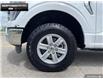2023 Ford F-150 XLT (Stk: DR1035) in Brantford - Image 6 of 24