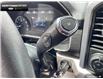2023 Ford F-150 XLT (Stk: DR1035) in Brantford - Image 17 of 24