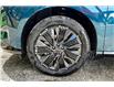 2025 Nissan Murano Platinum (Stk: 25MR1744) in Cranbrook - Image 11 of 12