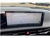 2025 Kia EV6 Land w/Premium Package (Stk: SEV61262) in Sherwood Park - Image 13 of 14