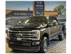 2024 Ford F-250 Limited (Stk: C13919) in NORTH BAY - Image 1 of 23