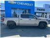 2023 GMC Sierra 1500 Elevation (Stk: D24T172A) in Port Alberni - Image 1 of 17