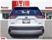 2023 Toyota RAV4 Hybrid Limited (Stk: N506690A) in Saint John - Image 4 of 28