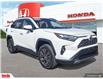 2023 Toyota RAV4 Hybrid Limited (Stk: N506690A) in Saint John - Image 7 of 28