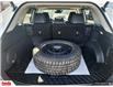 2023 Toyota RAV4 Hybrid Limited (Stk: N506690A) in Saint John - Image 15 of 28