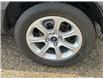 2020 Ford EcoSport SE (Stk: 11070) in Winnipeg - Image 5 of 25