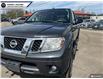 2015 Nissan Frontier  (Stk: 28827) in Parry Sound - Image 11 of 28