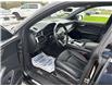 2021 Audi Q8 55 Technik (Stk: 0143P) in Meaford - Image 9 of 13