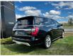 2018 Ford Expedition Max Platinum (Stk: 250862A) in Calgary - Image 3 of 26