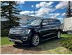 2018 Ford Expedition Max Platinum (Stk: 250862A) in Calgary - Image 5 of 26