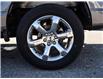 2022 Ford F-150 XLT (Stk: VF1F00443A) in Chatham - Image 12 of 32