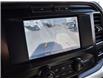 2022 Ford F-150 XLT (Stk: VF1F00443A) in Chatham - Image 31 of 32