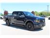 2025 Ford F-150 XLT (Stk: LT2517) in Harrow - Image 3 of 19