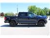 2025 Ford F-150 XLT (Stk: LT2517) in Harrow - Image 4 of 19
